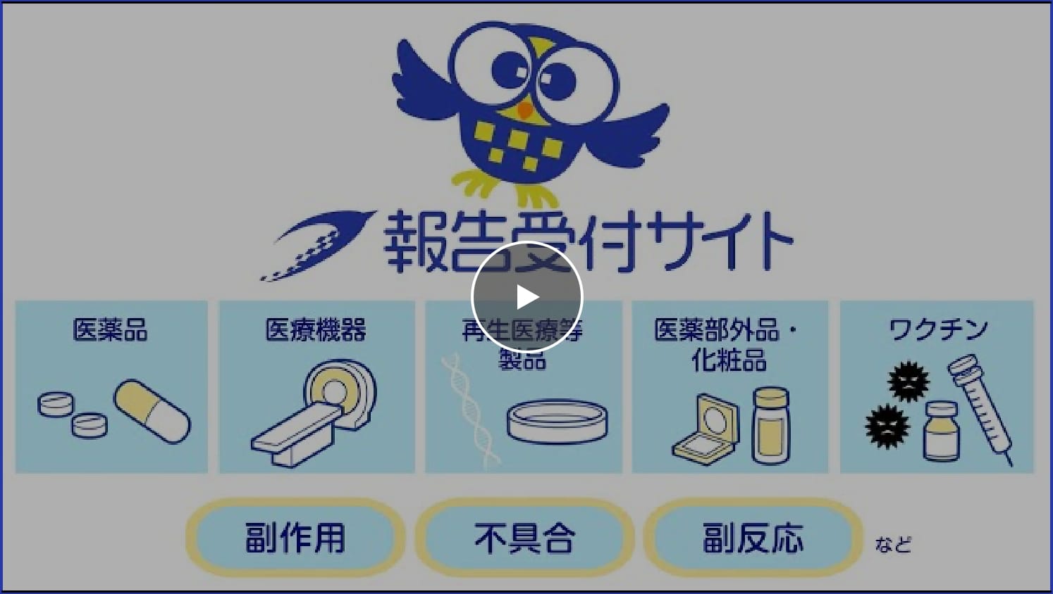 1分でわかる「報告受付サイト」動画